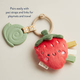 Itzy Pal™ Plush + Teether: Koala